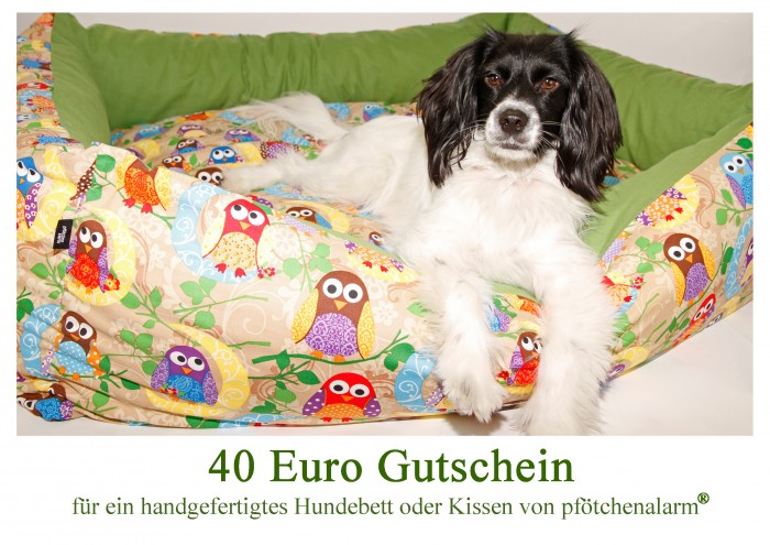 Gutschein Pfötchenalarm Seite 1