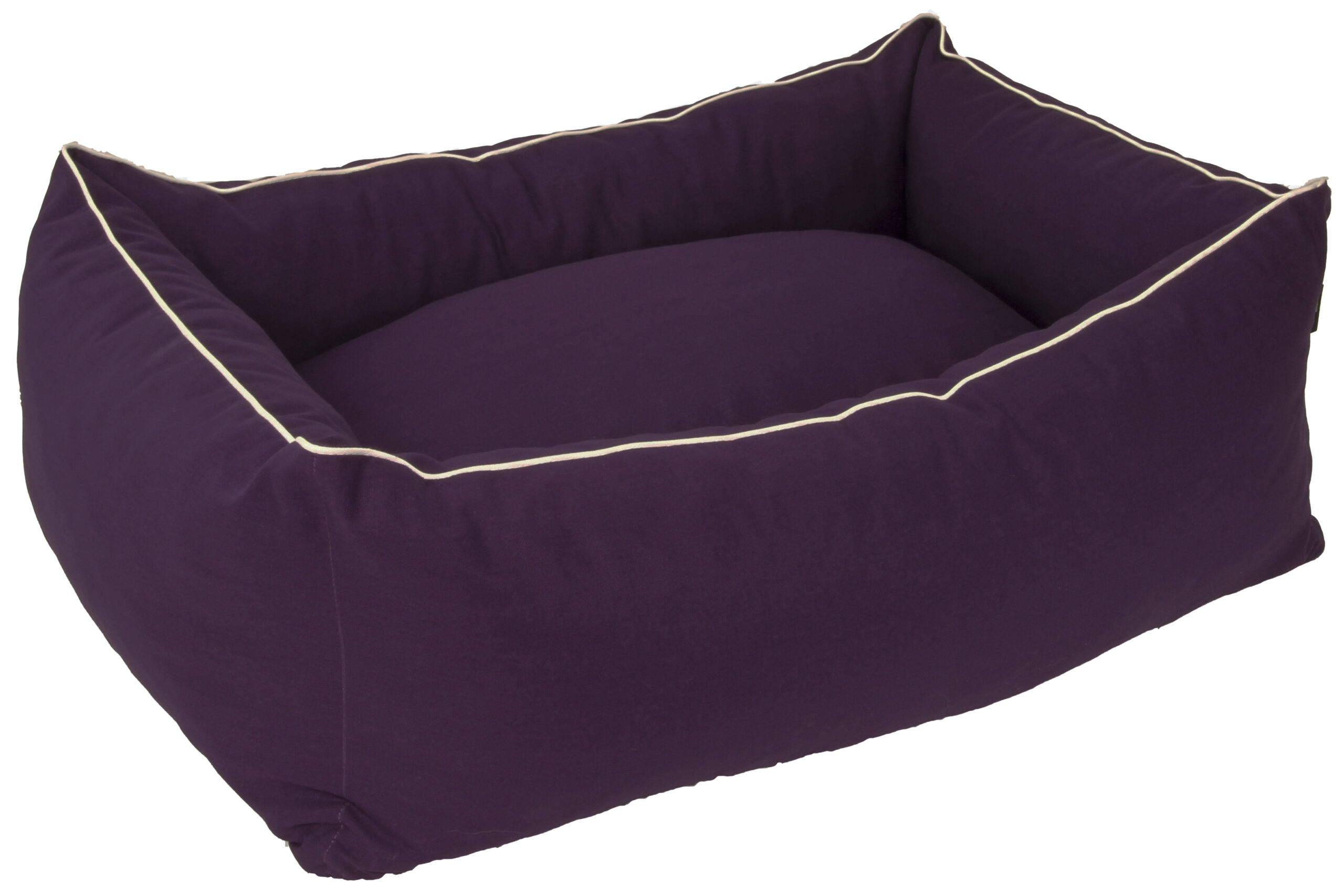 aubergine
