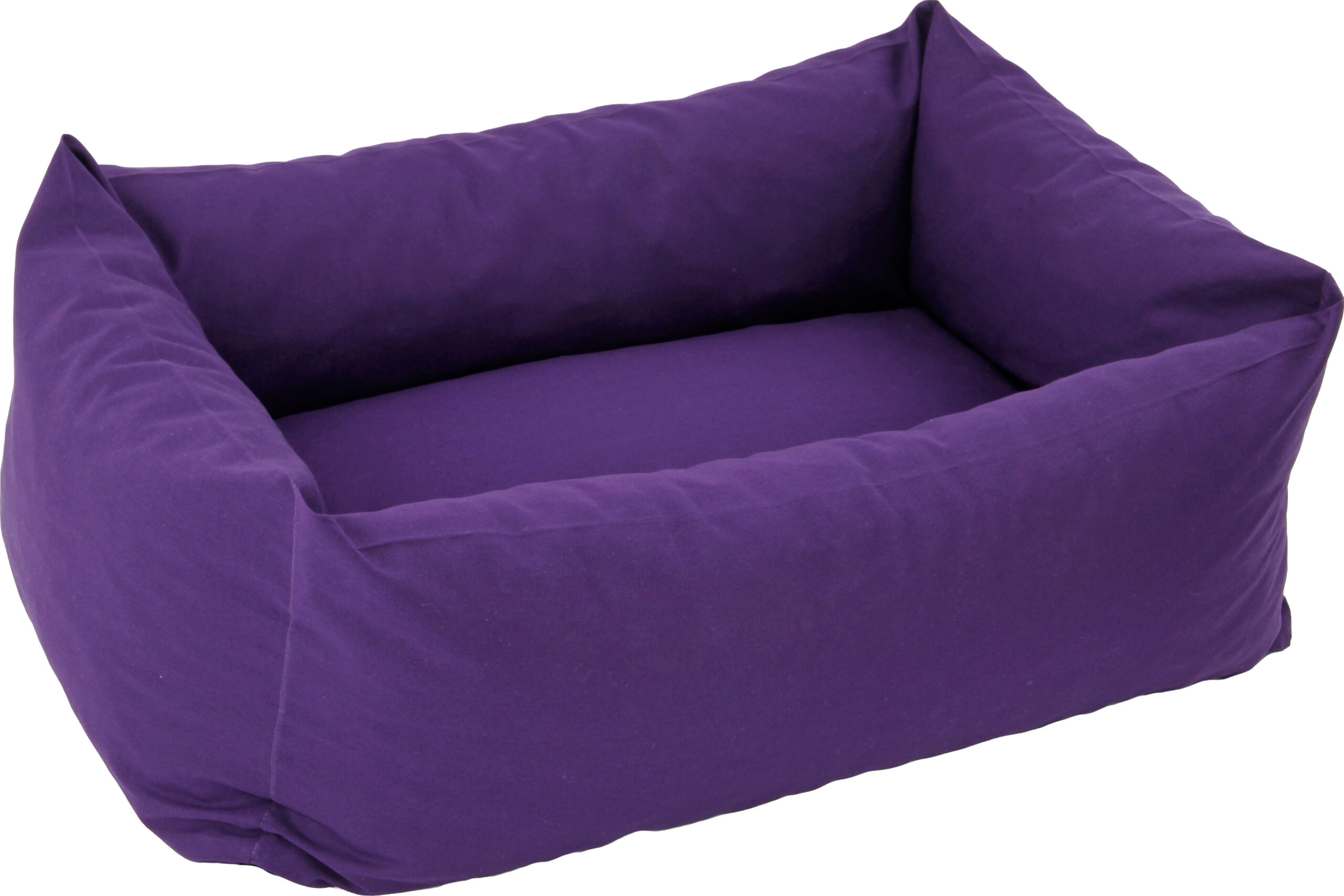 aubergine