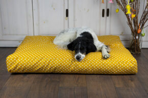 Hundekissen comfort line "Für alle Pfötchen" Tupfen
