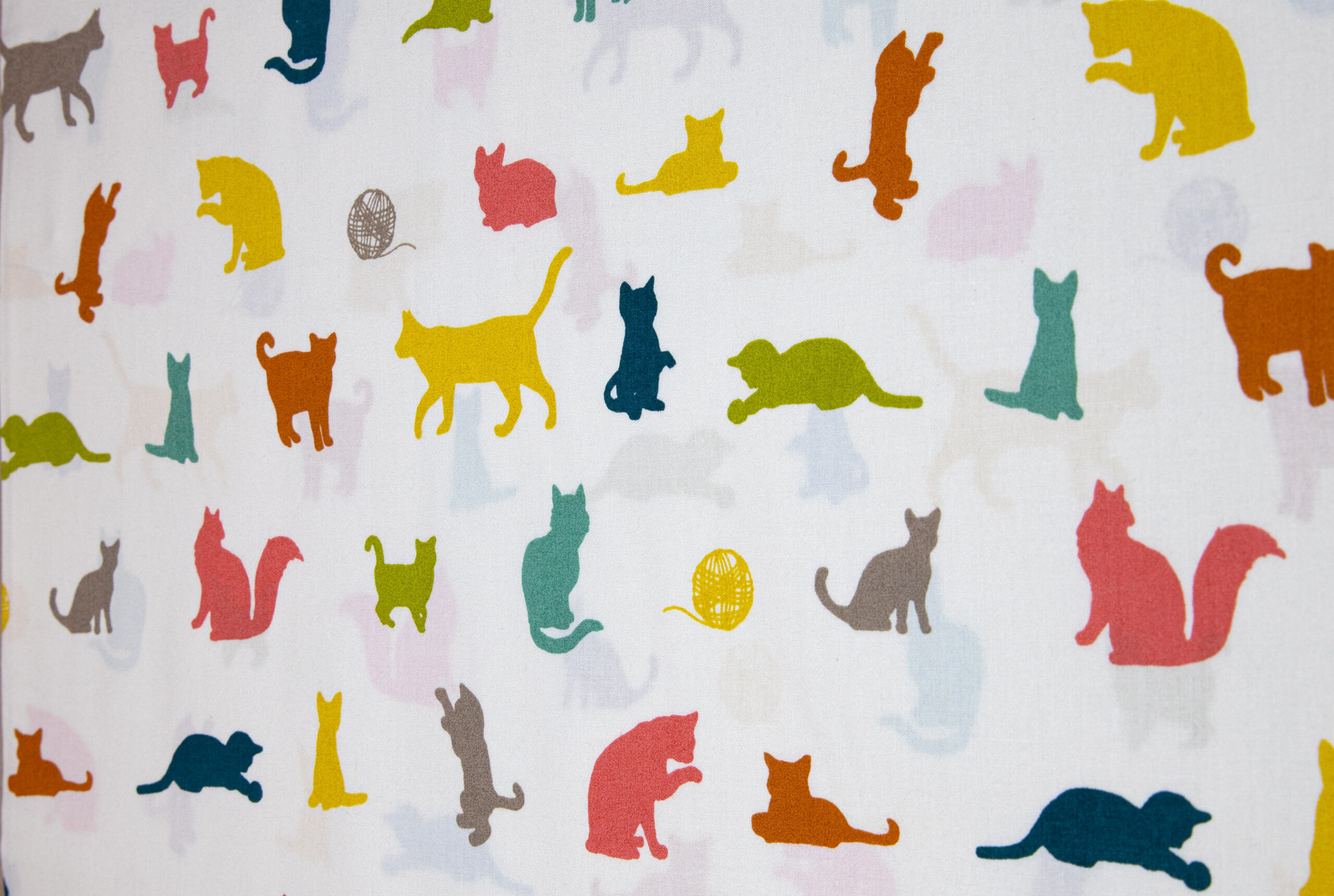 Katzen 28
