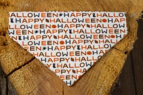 Halsbandtuch - Halloween beige