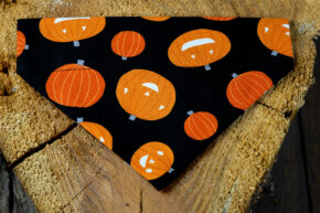 Halsbandtuch - Kürbis
