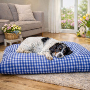 Hundekissen comfort line "Mein Lieblingsplatz" - Karo groß