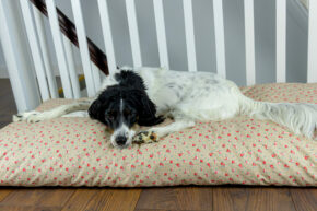 Hundekissen comfort line "Mein Lieblingsplatz" - Blumen