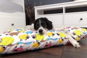 Hundekissen comfort line "Mein Lieblingsplatz" - Schafe