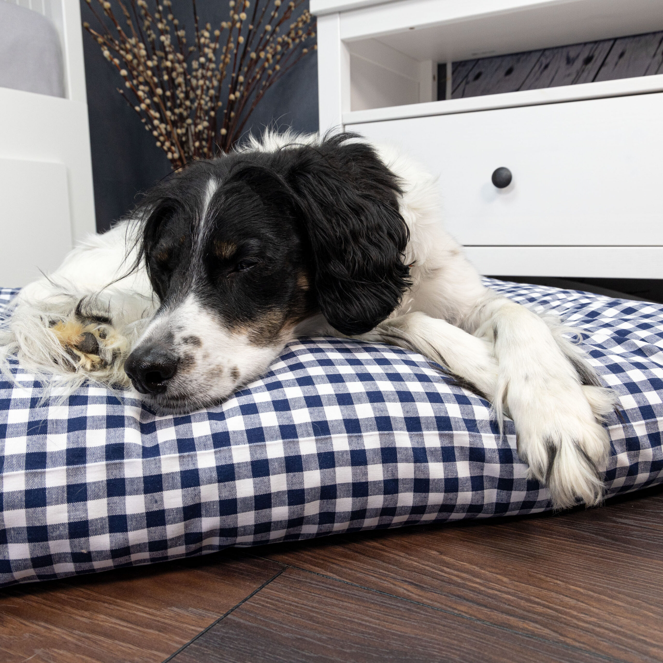 Hundekissen 