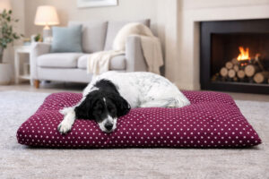 Ersatzbezug für Hundekissen comfort line "Mein Lieblingsplatz" - Sterne