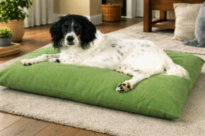 Hundekissen comfort line "Mein Lieblingsplatz" - Cord heugrün