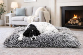 Hundekissen comfort line "Mein Lieblingsplatz" - Plüsch