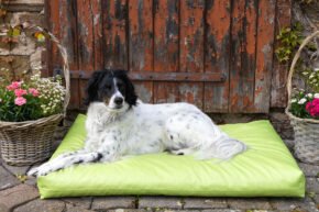 Hundekissen comfort line "Mein Lieblingsplatz" 70 x 100 cm - Outdoor - SALE