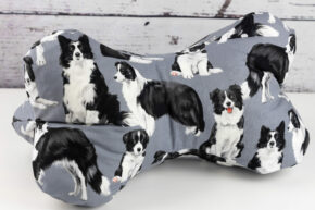 Leseknochen - Border Collie