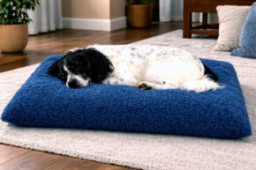 Hundekissen comfort line "Mein Lieblingsplatz" - Teddyplüsch