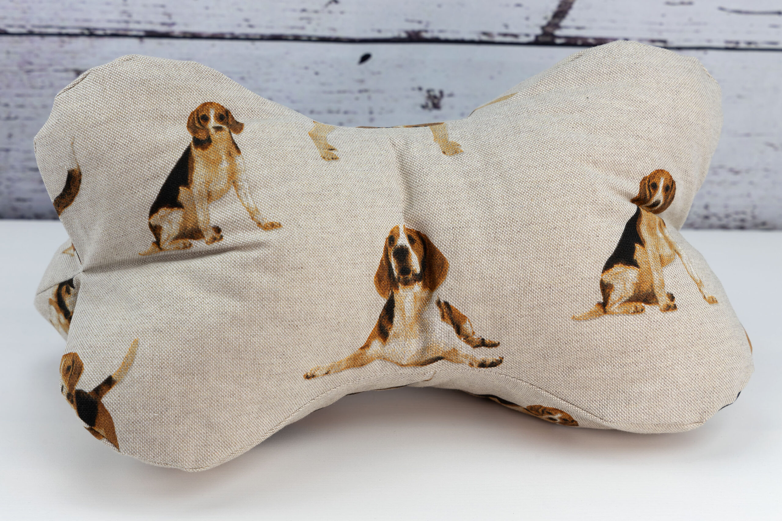 Leseknochen - Beagle