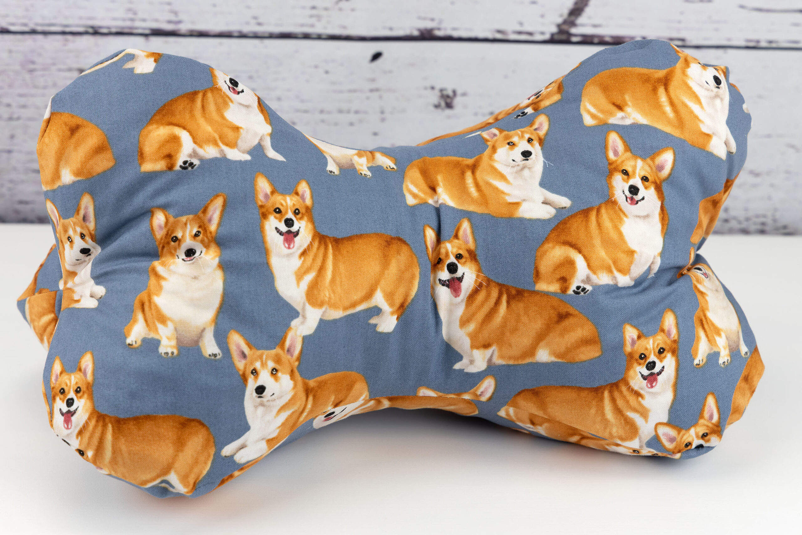 Leseknochen - Corgie