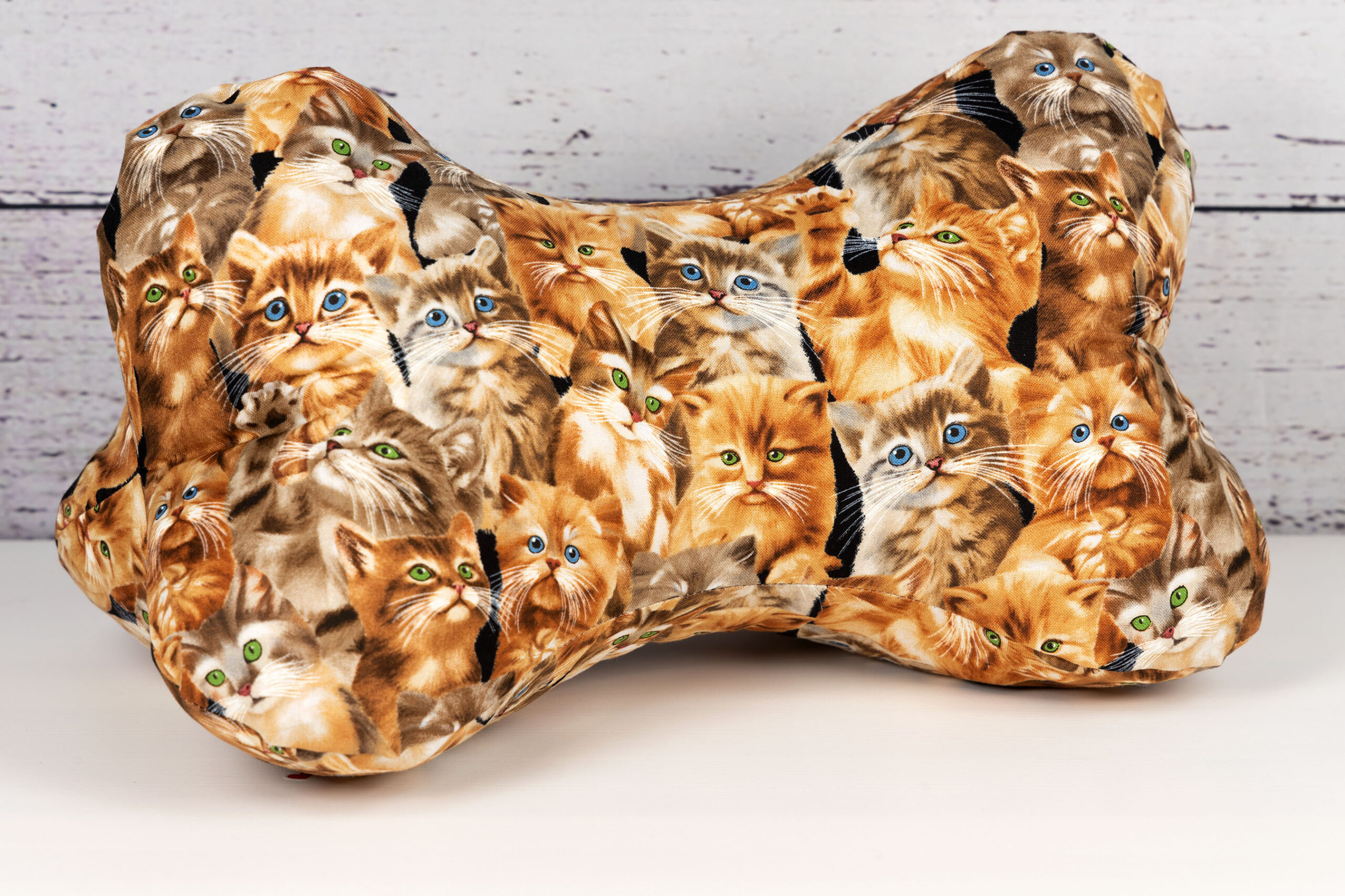 Leseknochen - Katzen 20