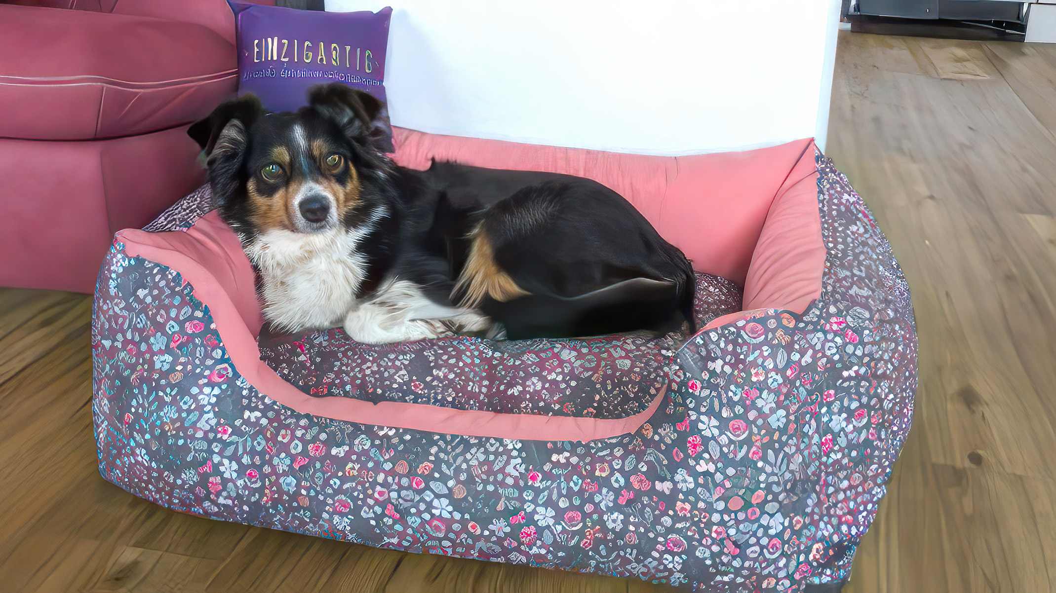 Hundebetten