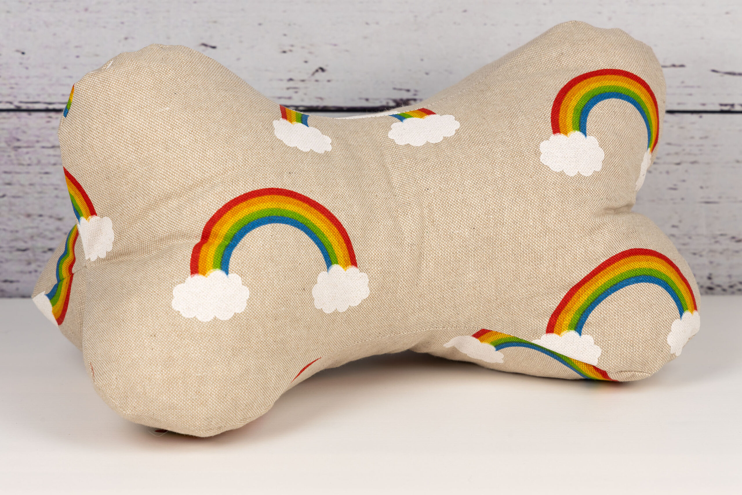 Leseknochen - Regenbogen