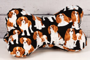 Leseknochen - Cavalier King Charles