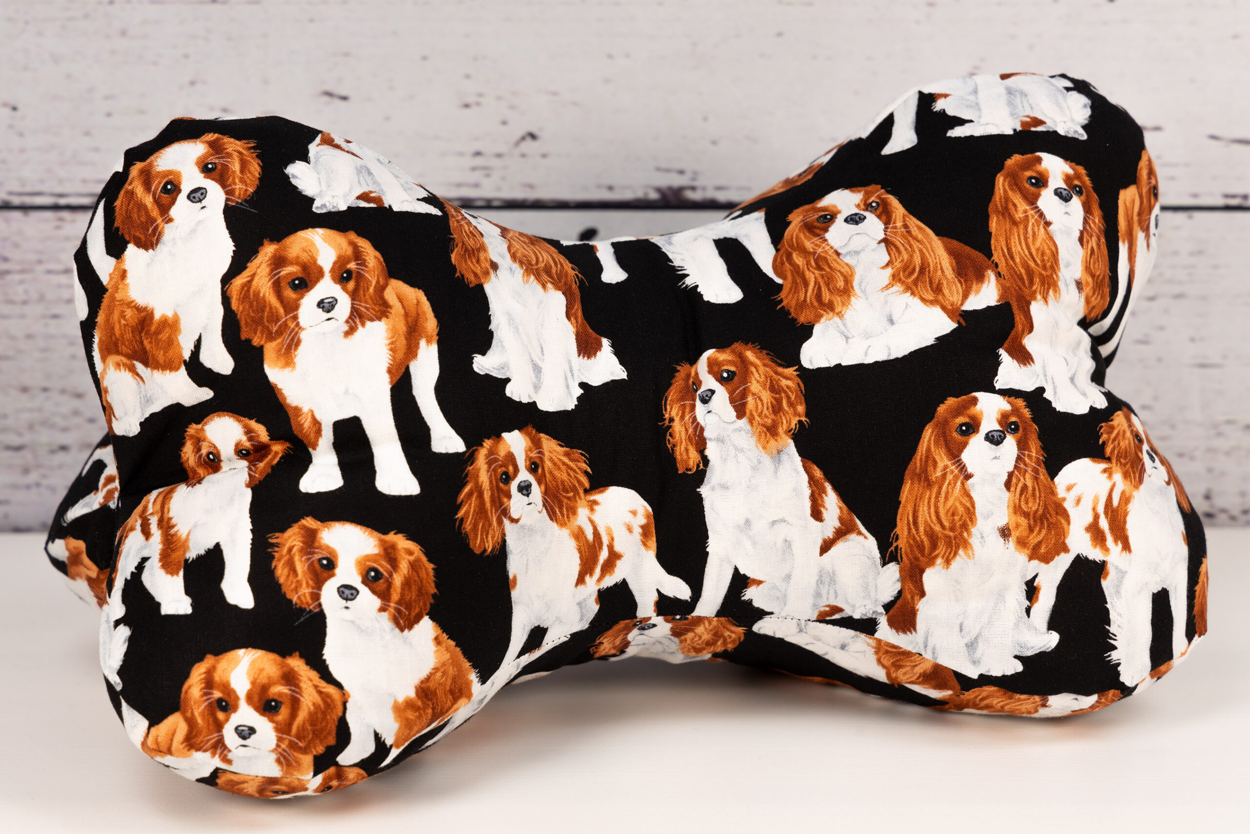 Leseknochen - Cavalier King Charles