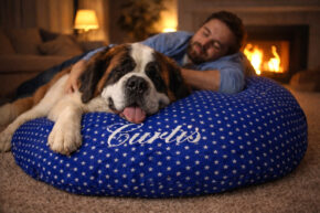 Hundekissen comfort line "Sterne"