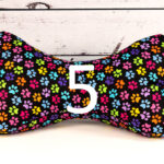 XL (42 x 22 cm) +&euro;15,00