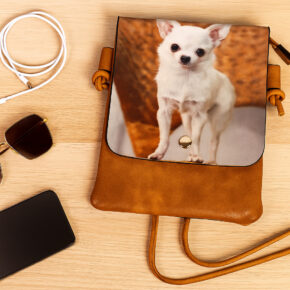 Handytasche Chihuahua beige