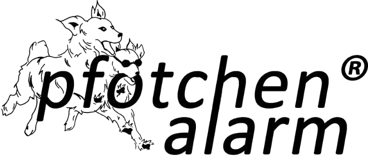 Logo-transparent